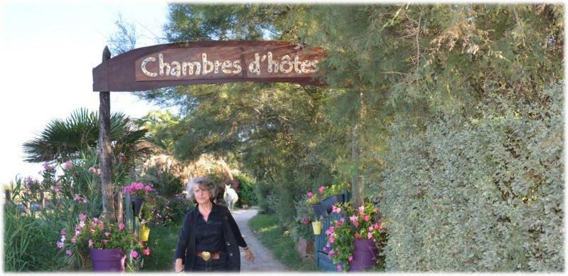 Gites Chambres D'Hotes Mazet Du Marechal Ferrant Saintes-Maries-de-la-Mer Exterior foto