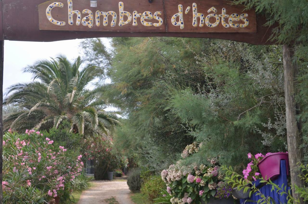 Gites Chambres D'Hotes Mazet Du Marechal Ferrant Saintes-Maries-de-la-Mer Exterior foto