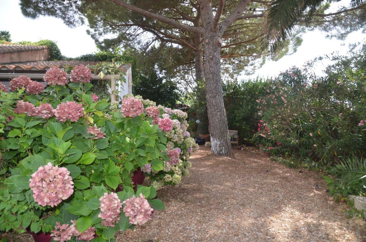 Gites Chambres D'Hotes Mazet Du Marechal Ferrant Saintes-Maries-de-la-Mer Exterior foto